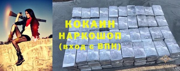 ECSTASY Богородск